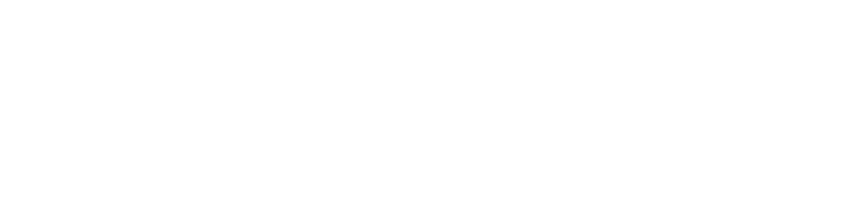 Fokus Informatik GmbH Logo